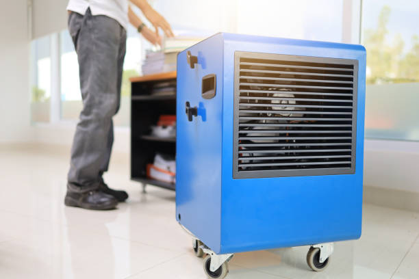 St Regis Park, KY Mold Removal Company